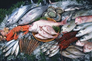 ФАС наказала 4 компании за сговор на торгах по поставке рыбы для МВД