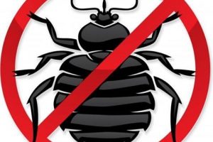 ФАС выявила и наказала «монополиста» по борьбе с грызунами и насекомыми