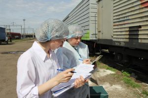 Апелляция отменила штраф ФАС на госучреждение Пермского края, признав нарушения при санветосмотре грузов малозначительным