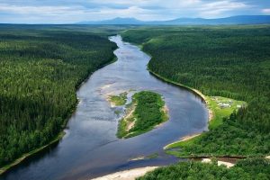 Верховный Суд оставил в силе решение ФАС против Ненецкого департамента природных ресурсов за допуск к торгам компании своего сотрудника